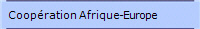 Coopération Afrique-Europe